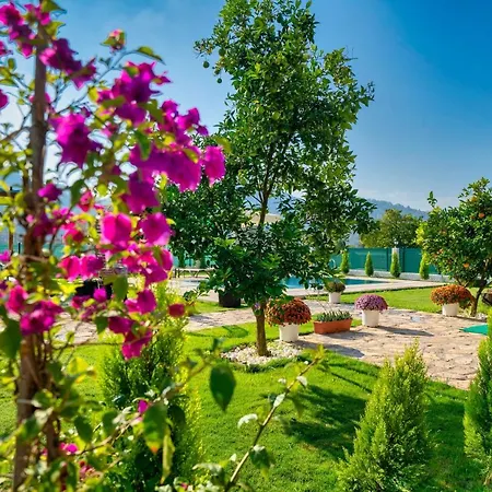Villa Sarikavak Luxury Fethiye
